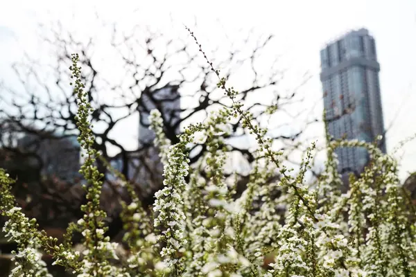 浜離宮恩賜庭園の写真・動画_image_225630