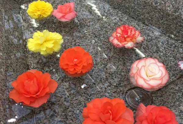 神代植物公園の写真・動画_image_225965