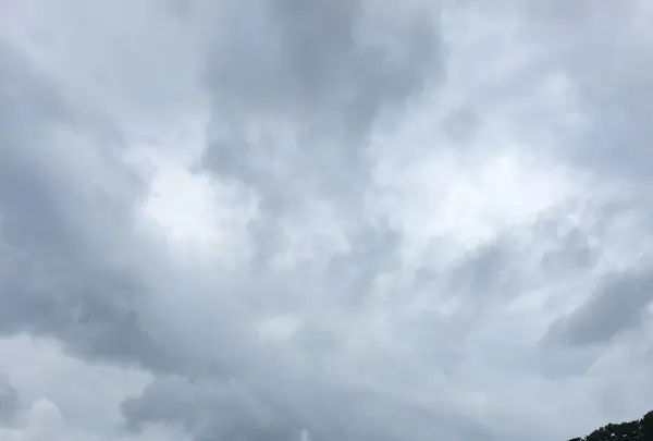 桂浜の写真・動画_image_226719