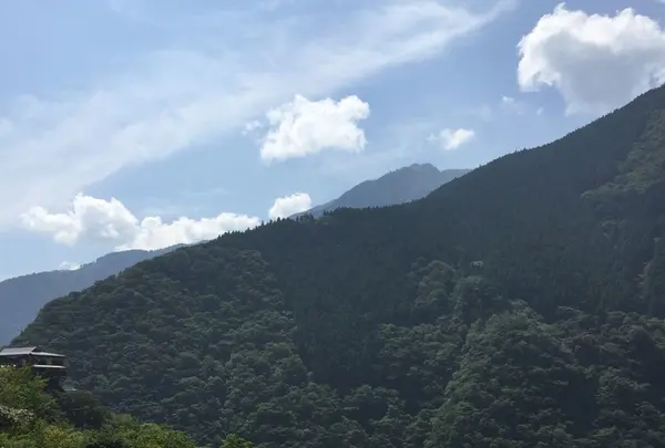祖谷温泉の写真・動画_image_226724
