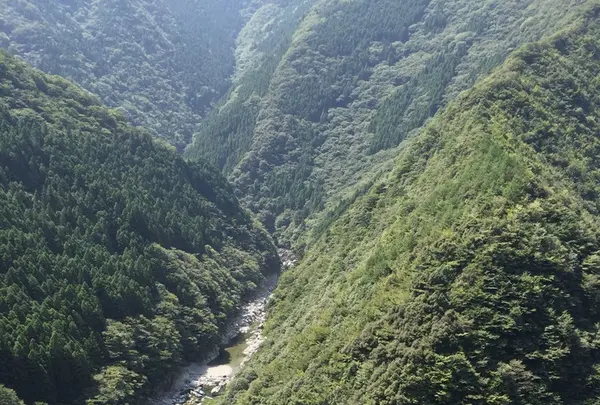祖谷温泉の写真・動画_image_226726
