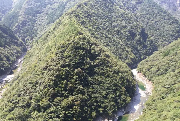 祖谷温泉の写真・動画_image_226727