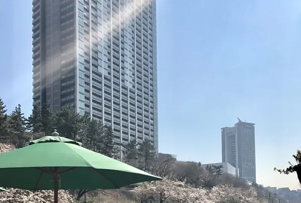 CANAL CAFE（カナルカフェ）の写真・動画_image_226910