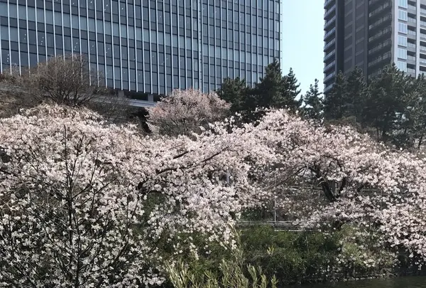 CANAL CAFE（カナルカフェ）の写真・動画_image_226911