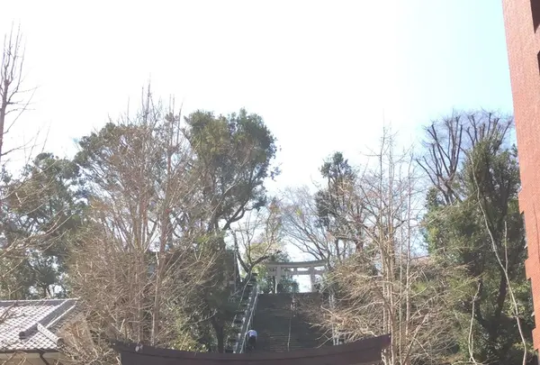 愛宕神社の写真・動画_image_226932