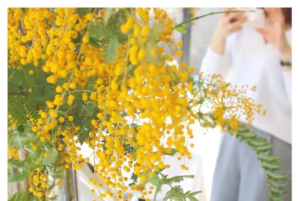 マッシモ・マリアーニの写真・動画_image_226944