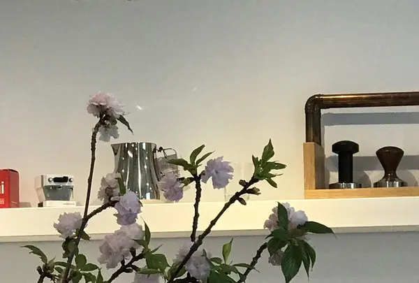 27コーヒーロースターズの写真・動画_image_227563