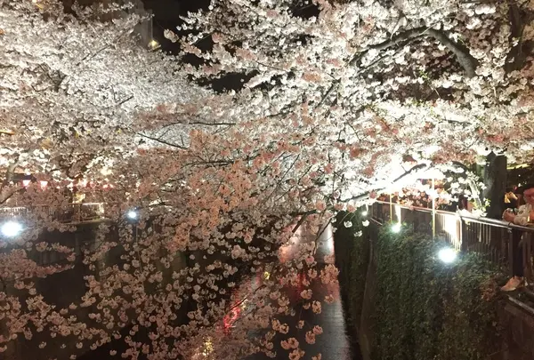サイドウォーク スタンド （SIDEWALK STAND）の写真・動画_image_227849