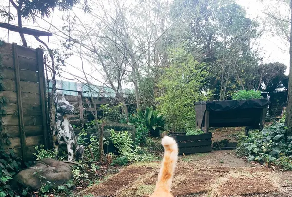waletの写真・動画_image_227930