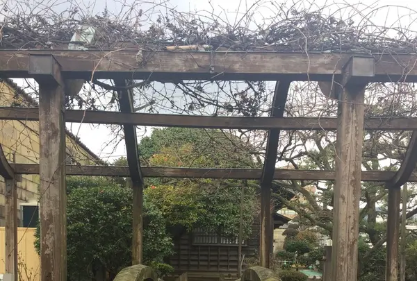 出島の写真・動画_image_227945