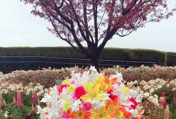 港の見える丘公園の写真・動画_image_227985