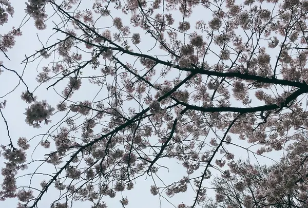 港の見える丘公園の写真・動画_image_227988