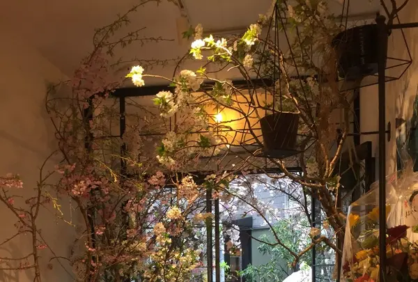 YES TOKYOの写真・動画_image_228036