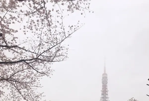 芝公園の写真・動画_image_228108