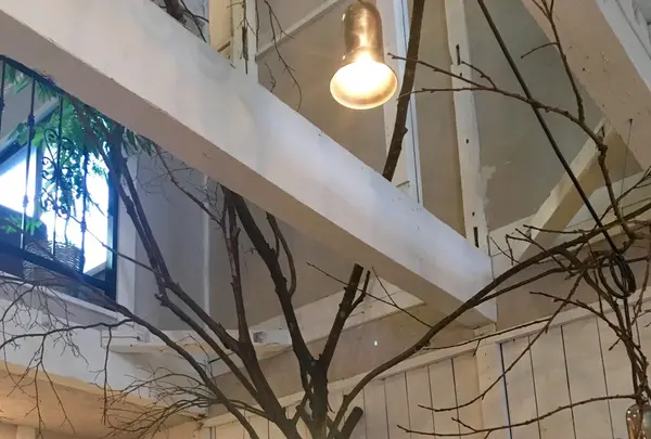 カフェ　オトノヴァの写真・動画_image_228129