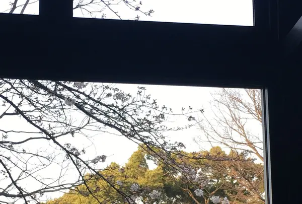 しょうゆきゃふぇ 元町の写真・動画_image_228317