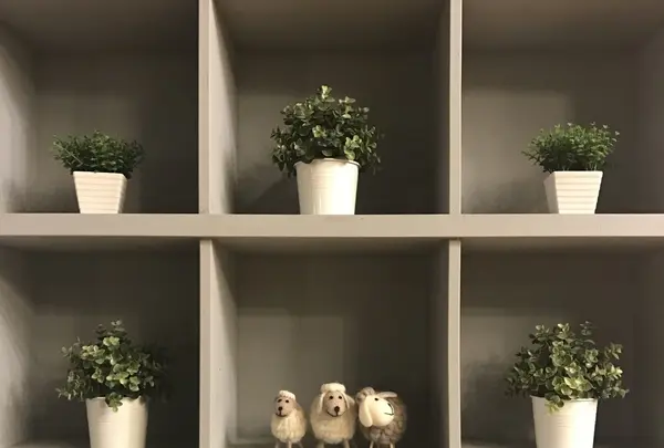 24"7の写真・動画_image_228366