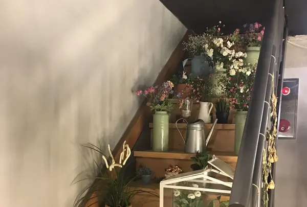 24"7の写真・動画_image_228368