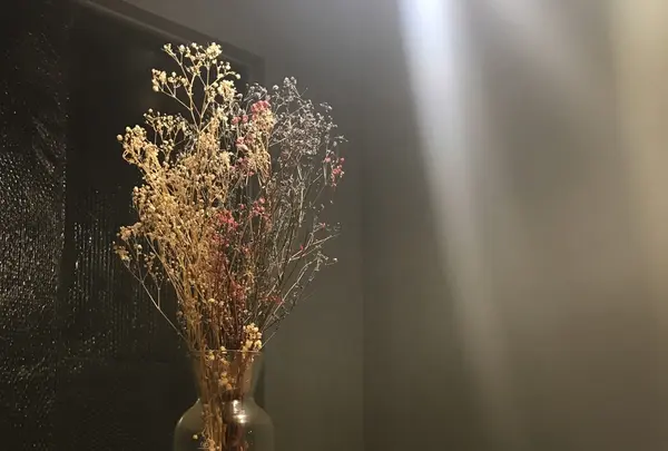 24"7の写真・動画_image_228369