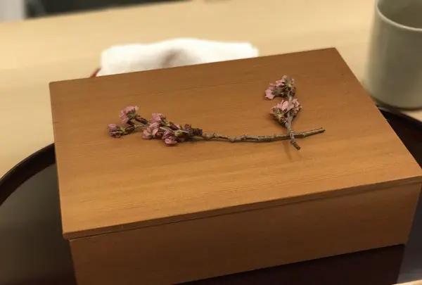 京しずくの写真・動画_image_228652