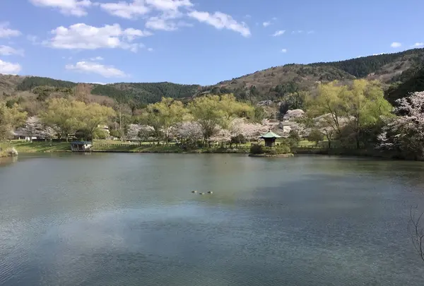 定光寺公園の写真・動画_image_228858
