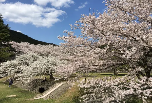 定光寺公園の写真・動画_image_228861