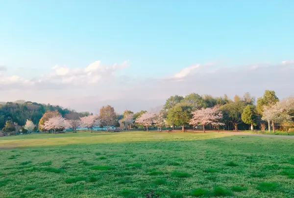 神奈川県立茅ヶ崎里山公園の写真・動画_image_228870