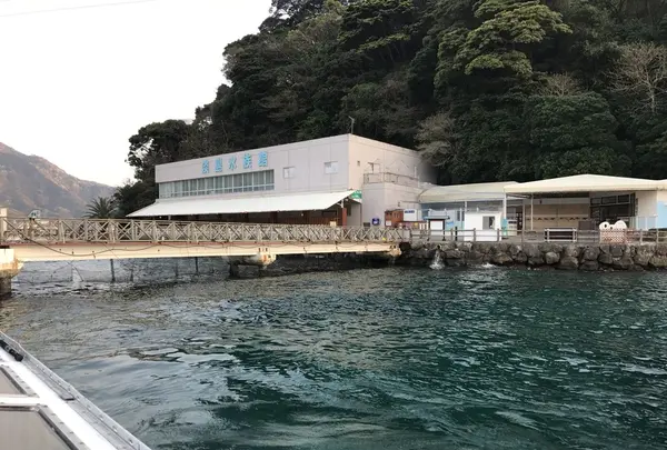 淡島マリンパークの写真・動画_image_229076