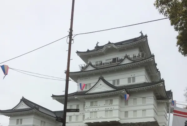 小田原城の写真・動画_image_229091