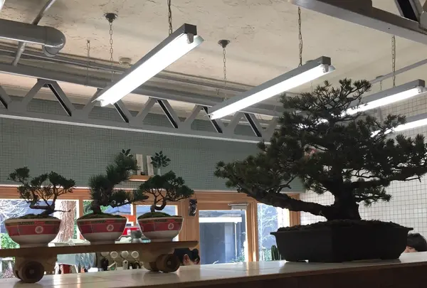 【閉業】deli fu cious（デリファシャス）の写真・動画_image_229335