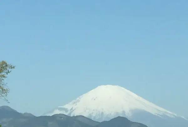 大井町の写真・動画_image_229495