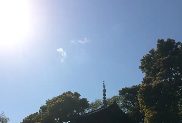 ロビーラウンジ ル・ジャルダンの写真・動画_image_229501