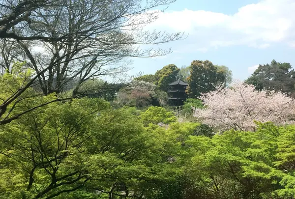 ロビーラウンジ ル・ジャルダンの写真・動画_image_229502