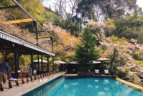 東府やベーカリー＆カフェの写真・動画_image_229511