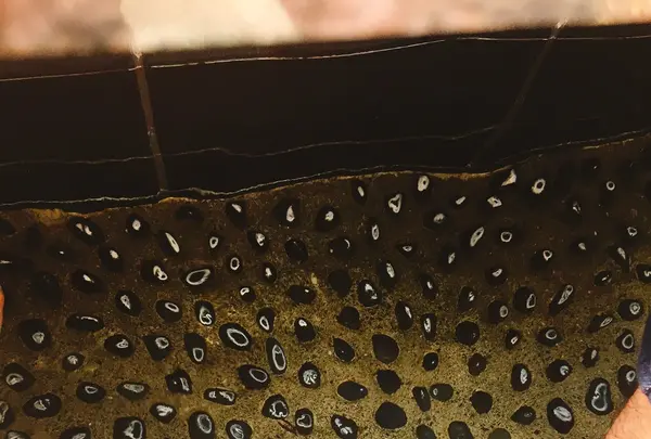 東府やベーカリー＆カフェの写真・動画_image_229512