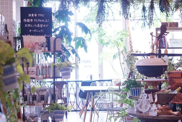 COTTONYの写真・動画_image_229565