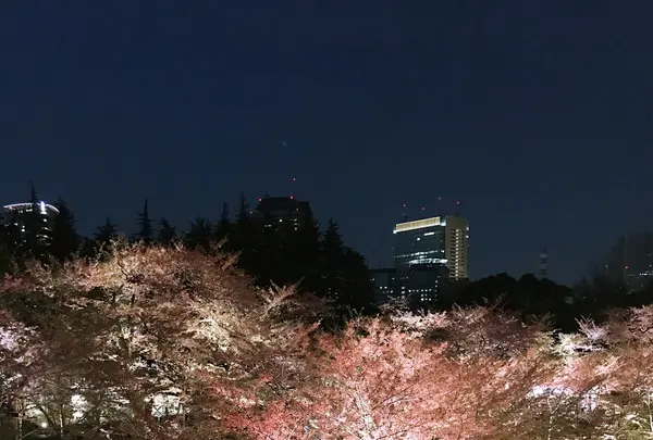 東京ミッドタウンの写真・動画_image_229656