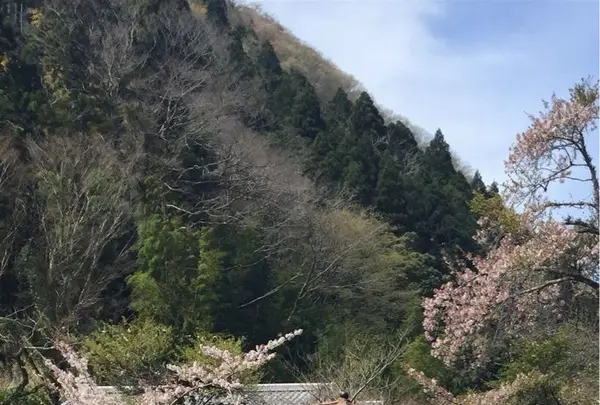 東府やベーカリー＆カフェの写真・動画_image_229671