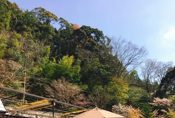 東府やベーカリー＆カフェの写真・動画_image_229674