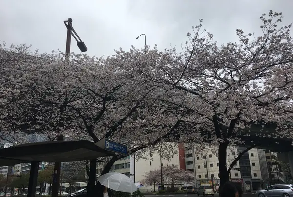 コーヒーショップ カコ 花車本店 （coffee shop KAKO）の写真・動画_image_229773