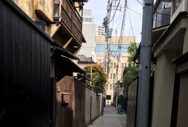 かくれんぼ横丁の写真・動画_image_229788