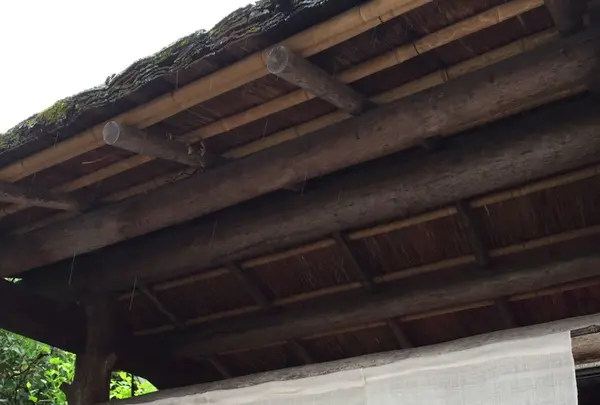 阿古屋茶屋の写真・動画_image_229991