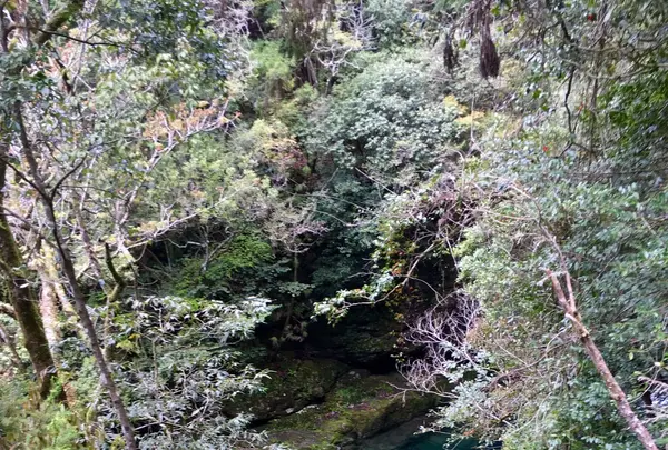 にこ淵の写真・動画_image_230742