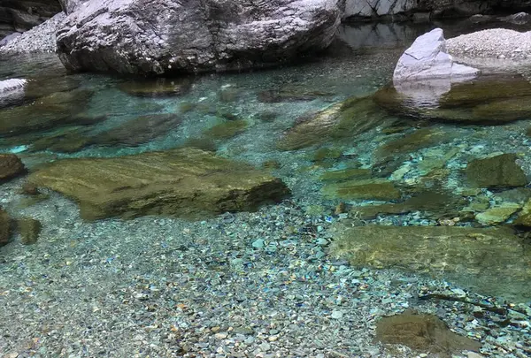 安居渓谷の写真・動画_image_230745