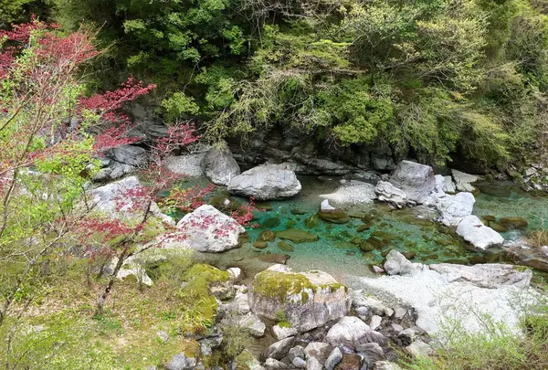 安居渓谷の写真・動画_image_230747