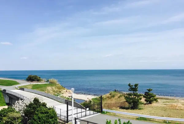 淡路島国営明石海峡公園の写真・動画_image_230779