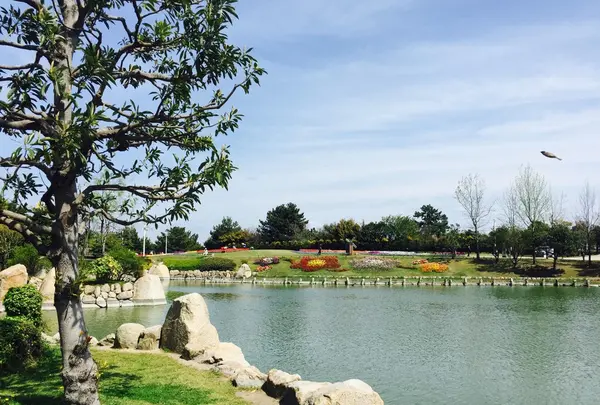 淡路島国営明石海峡公園の写真・動画_image_230781