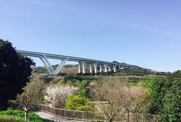 淡路島国営明石海峡公園の写真・動画_image_230783