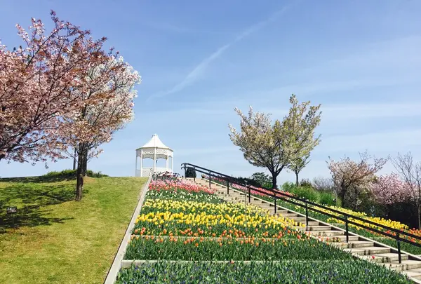 淡路島国営明石海峡公園の写真・動画_image_230784