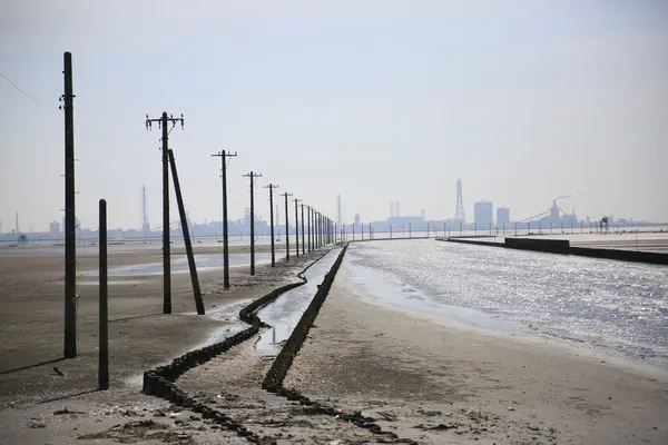 江川海岸の写真・動画_image_230951